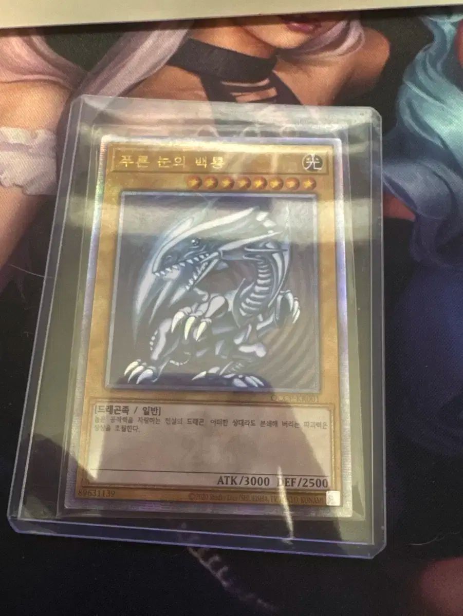遊 戯 王 ブルー アイド ペクリョン 四半期 世紀 シークレット