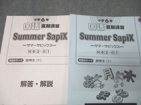 SAPIX 小学6年 国語 夏期講習 サマーサピックス N62-01～18 計18