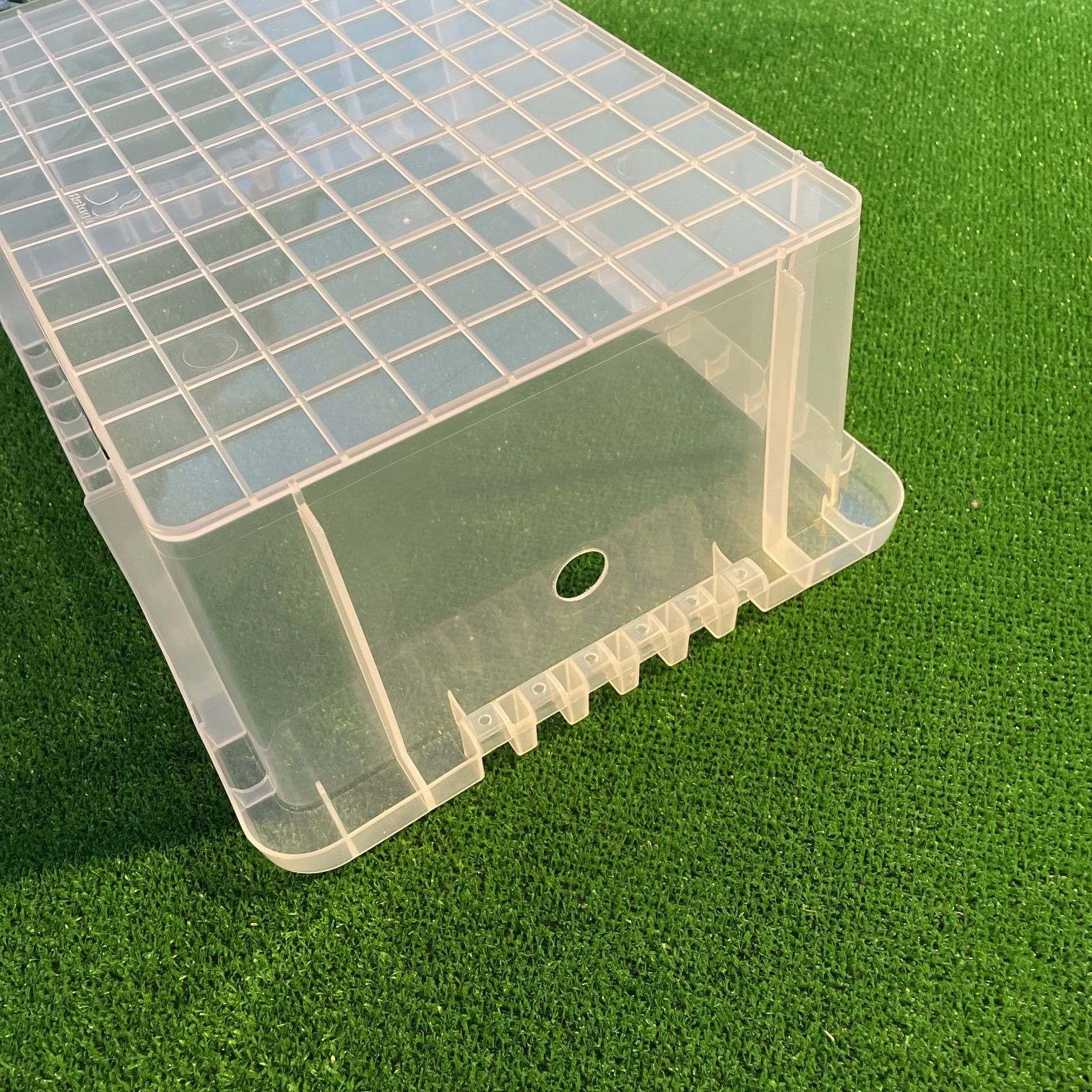 オーバーフロー式メダカ飼育水槽