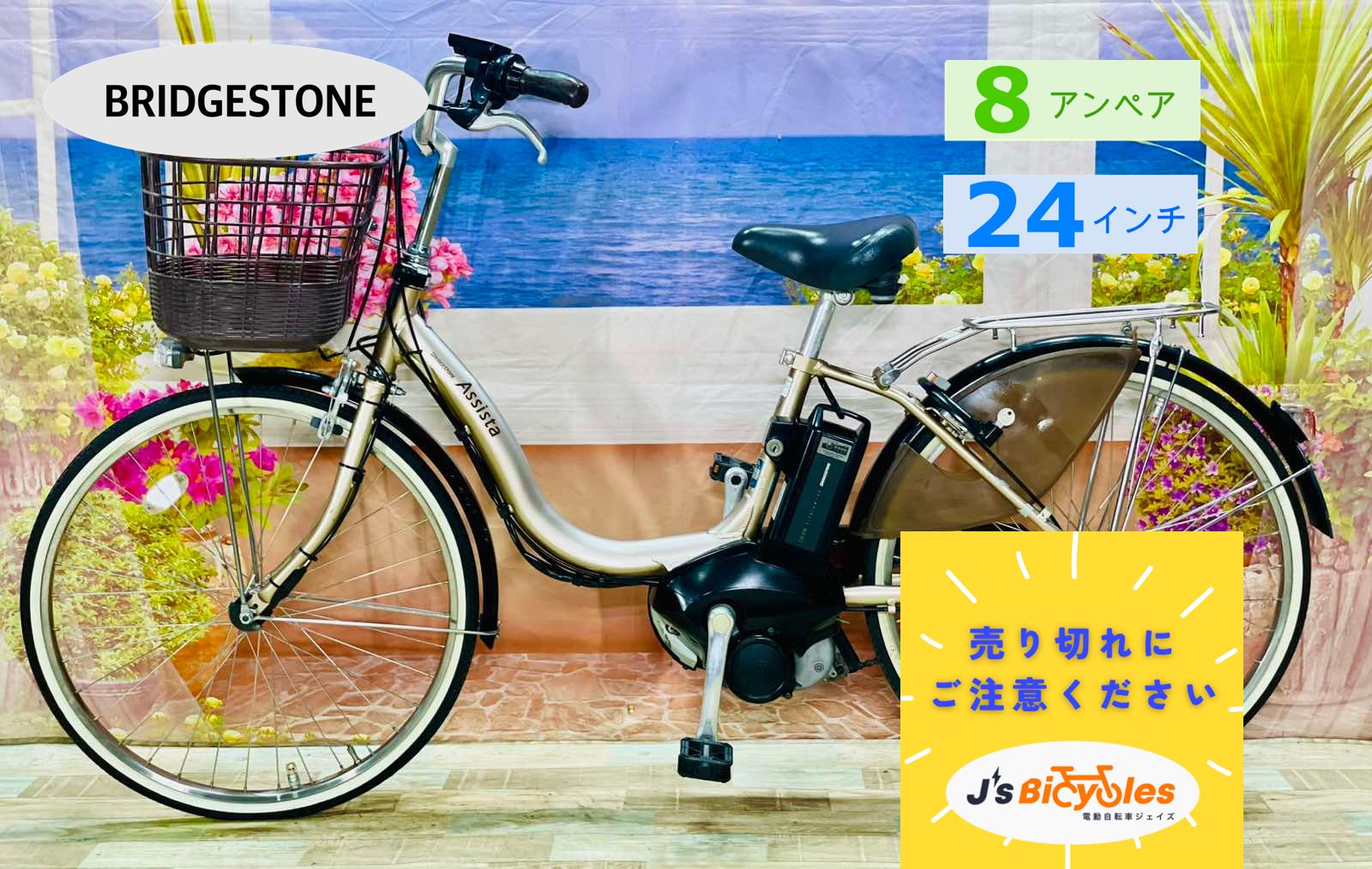 BRIDGESTONE Assista 　DX 電動アシスト自転車 BRIDGESTONE 電動アシスト自転車 中古 【東京・神奈川・埼玉
