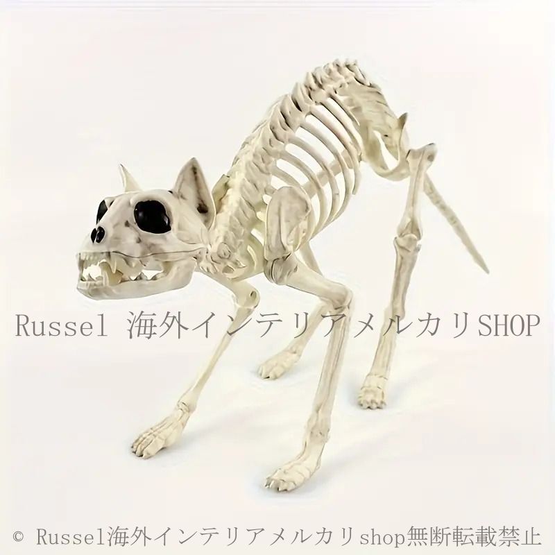 オブジェ 置物 猫 骨格 骸骨 スケルトン スカルキャット 動物