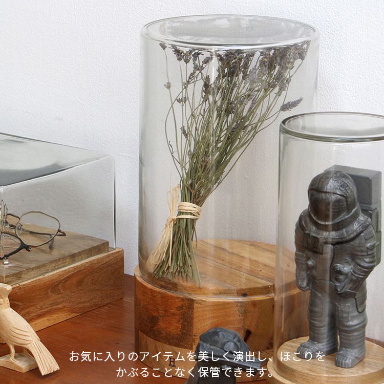 アンティーク ガラスドーム展示ケース ガラスドーム、ディスプレイケース、コレクションケース LCM 2887