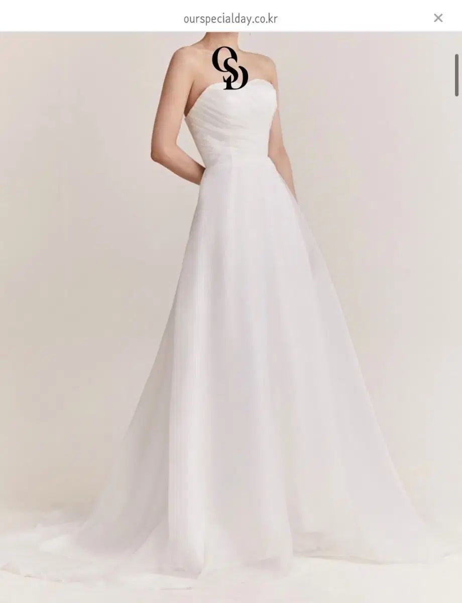 オーガンザ シルク ドレス (営業時間特別日)