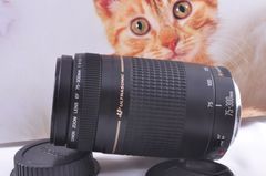 望遠はここから！Canon Zoom LENS EF75-300mm F4-5.6 USM イベントに大活躍 ！キヤノン 望遠レンズ Zoom LENS 交換レンズ 一眼カメラ EOS Kiss レンズフード