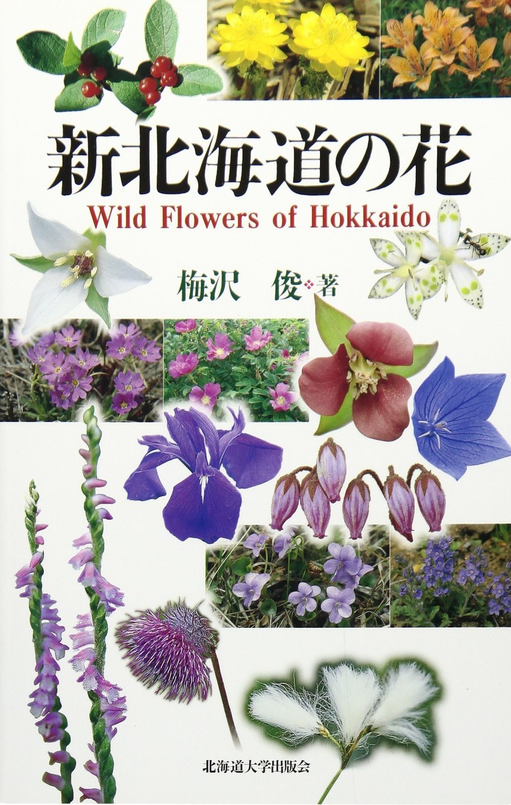 安徳天皇の四国潜幸秘史 安徳じゃが浮かびたい 安徳じゃが浮かびたい