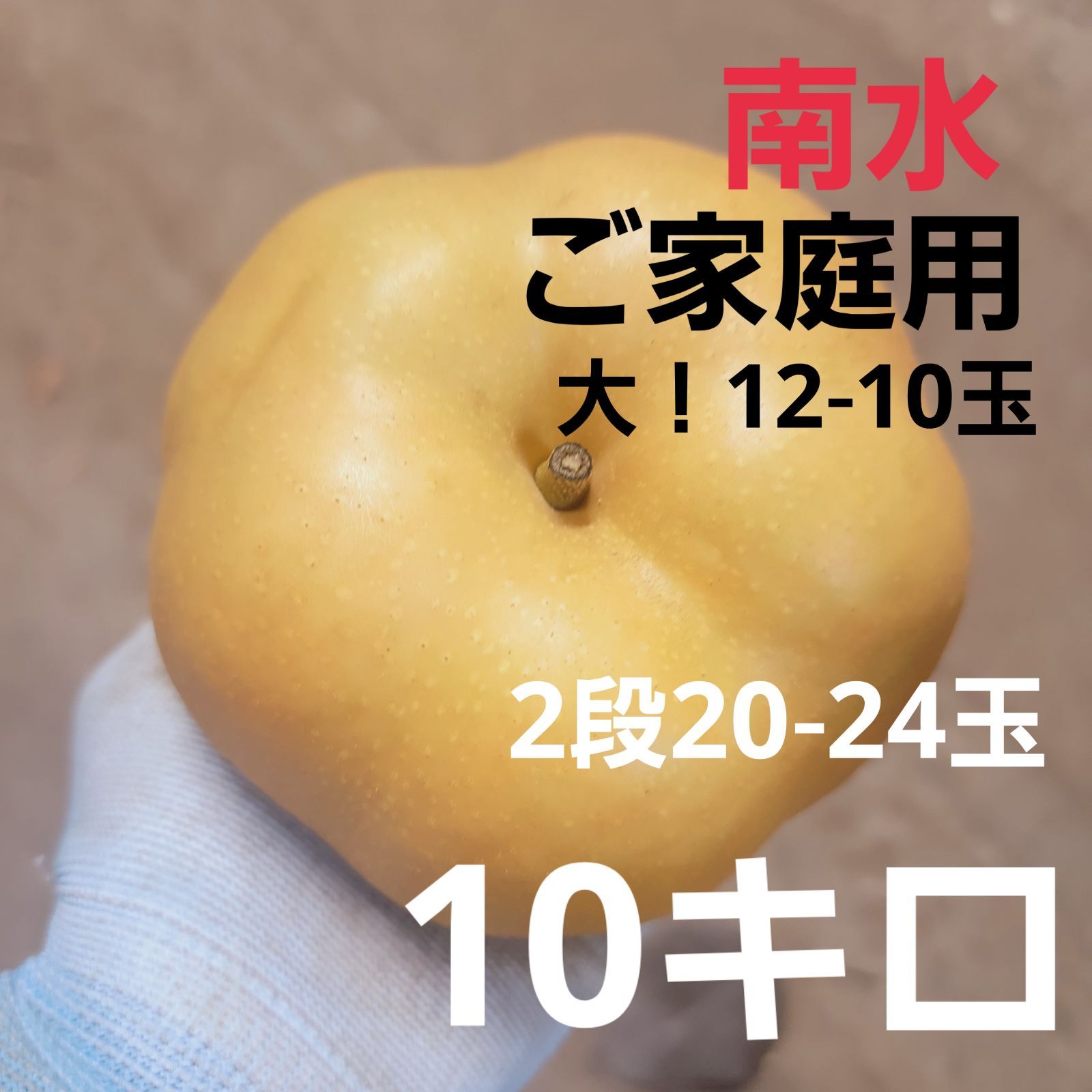 南水  ご家庭用  12-10玉  大玉！  10キロストックどうぞ！  発送お待ちください