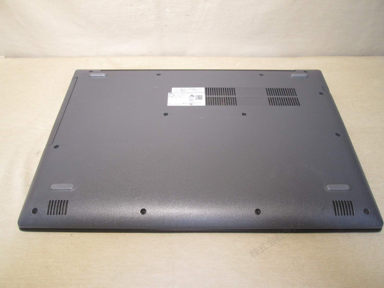 フルーツ ジャスパー レディース ボディ