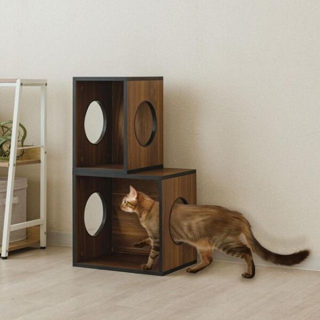 ドウシシャ 積み重ねられるボックス ANIN-BR ブラウン ボックス 猫 