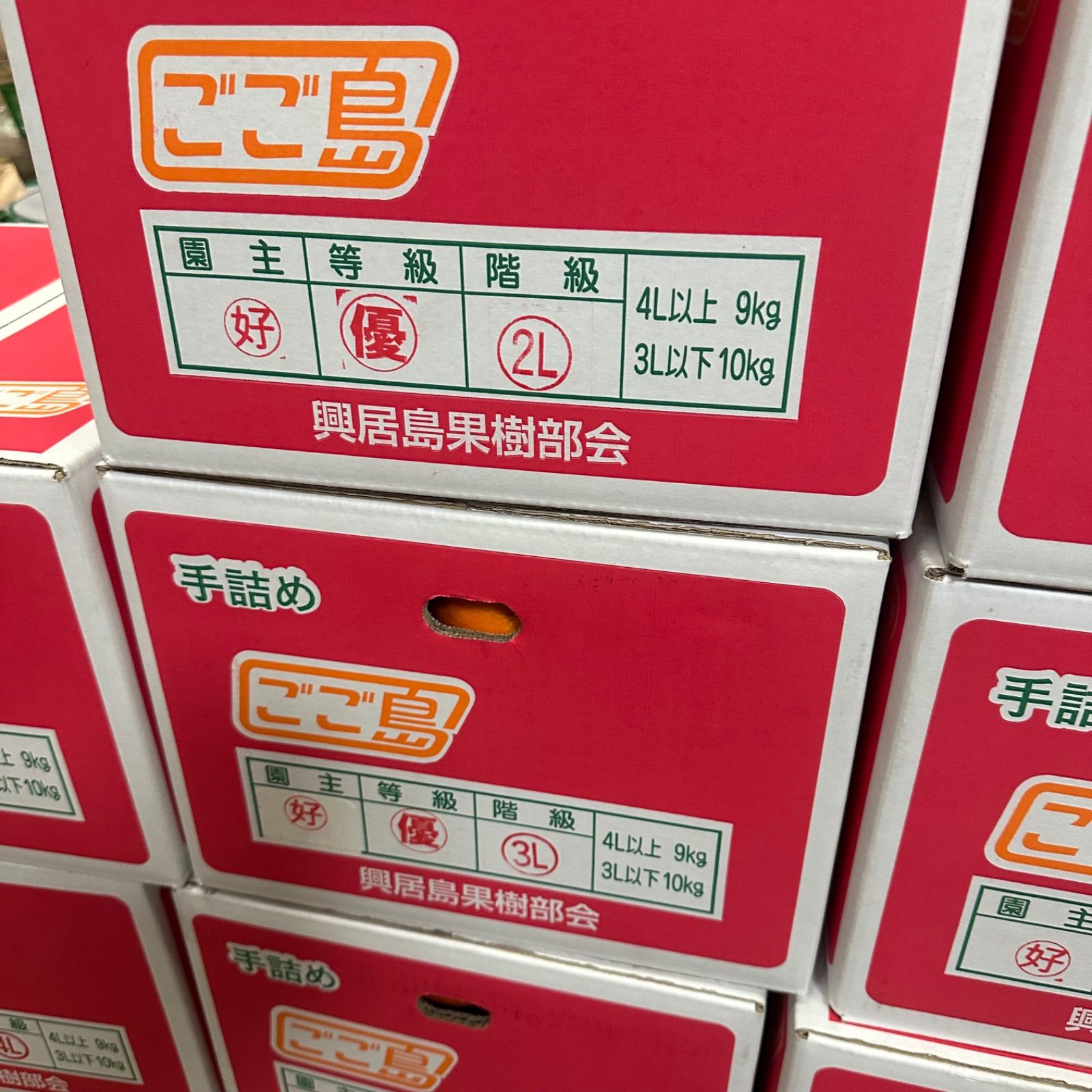伊予柑約 20キロ