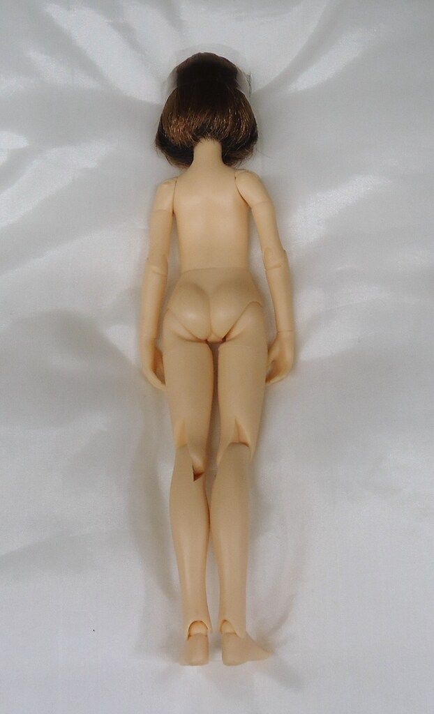 ペットワークス