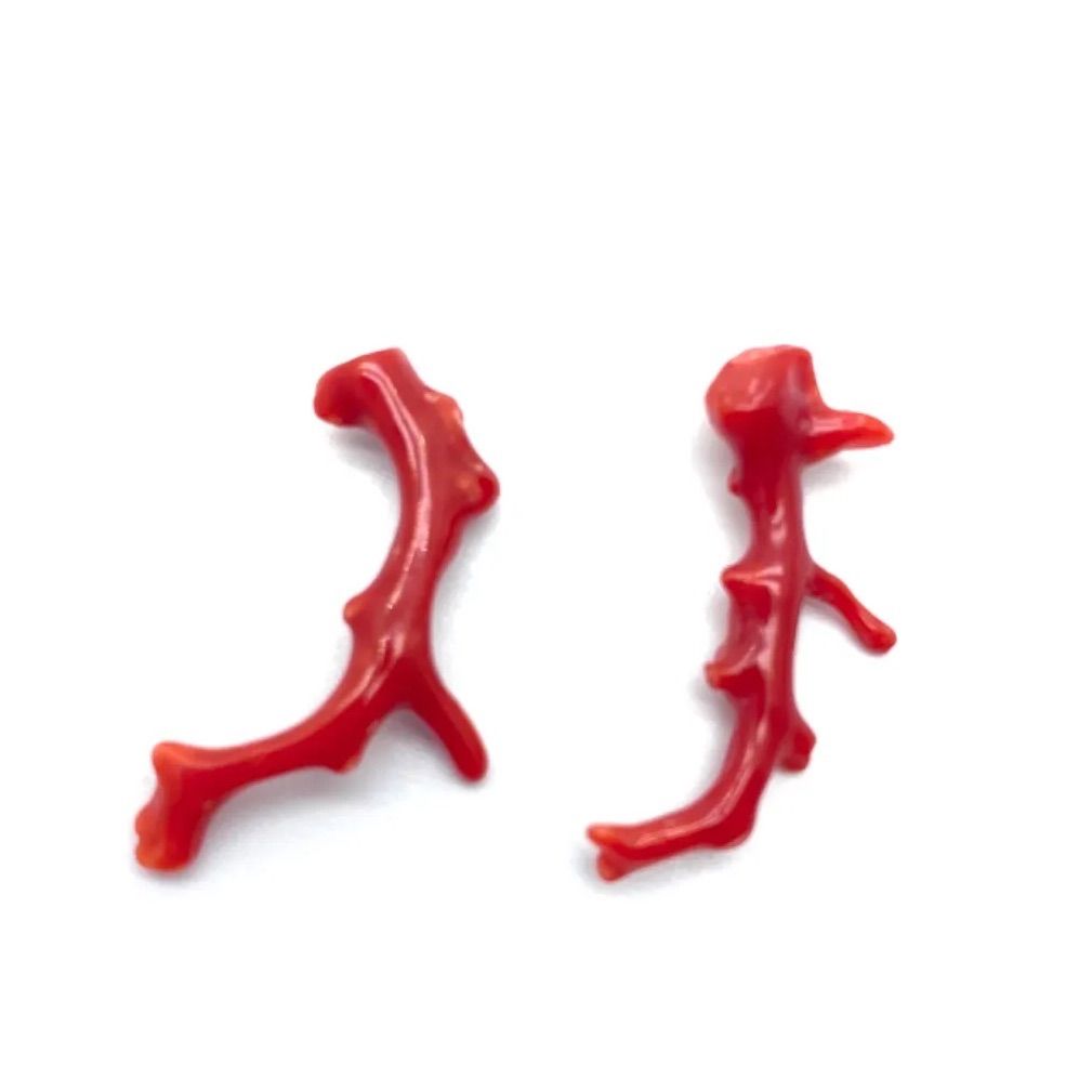 血赤珊瑚 パーツ1 ルース 素材 無染色 カラー4 珊瑚の雫 - メルカリ