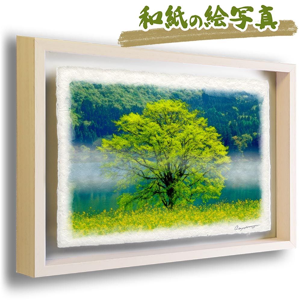 ヒグチユウコ 韓国 傘 シークレットフォレスト 秘密の森 ヒグチユウコ