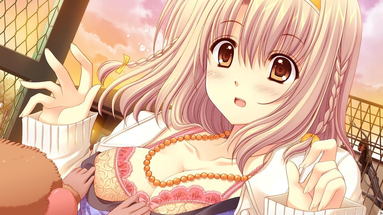 Switch 世界征服彼女 限定版 新品】 世界征服彼女 完全生産限定版 Nintendo Switch 佐賀 - メルカリ