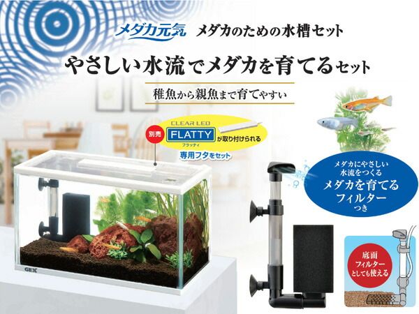 GEX メダカ元気 メダカのための水槽セット300 熱帯魚 観賞魚用品 水槽 セット水槽 ジェックス