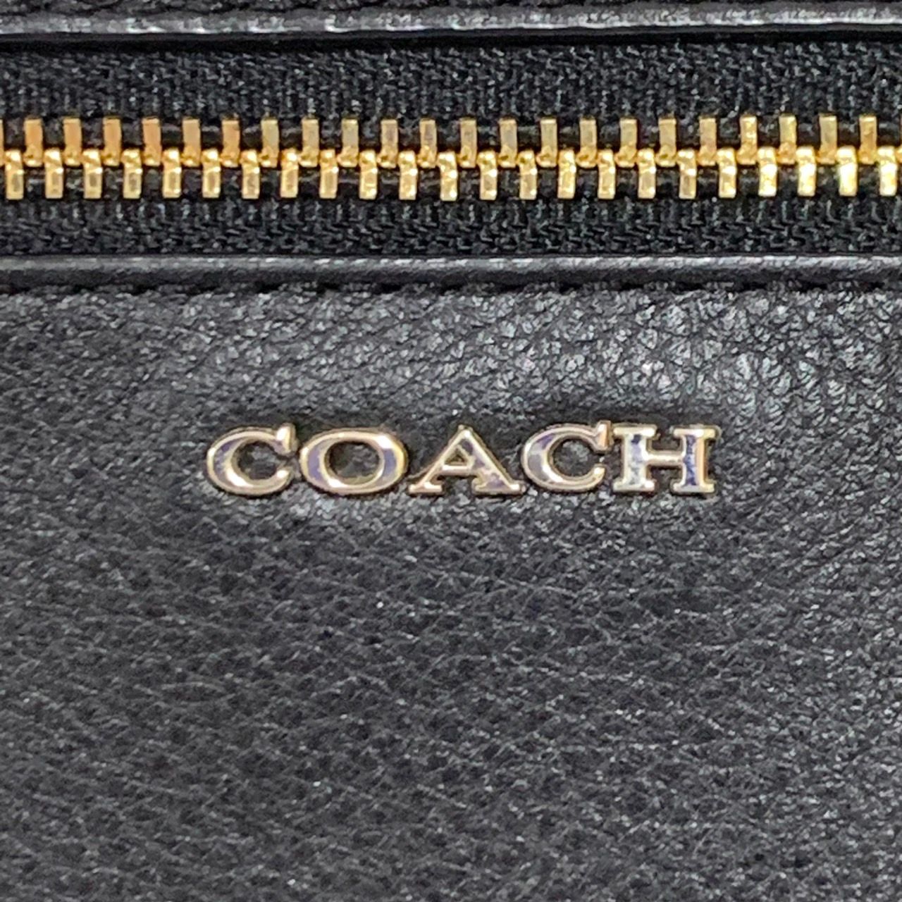 数量限定】 Coach レザー ミニクラッチバッグ kids-nurie.com