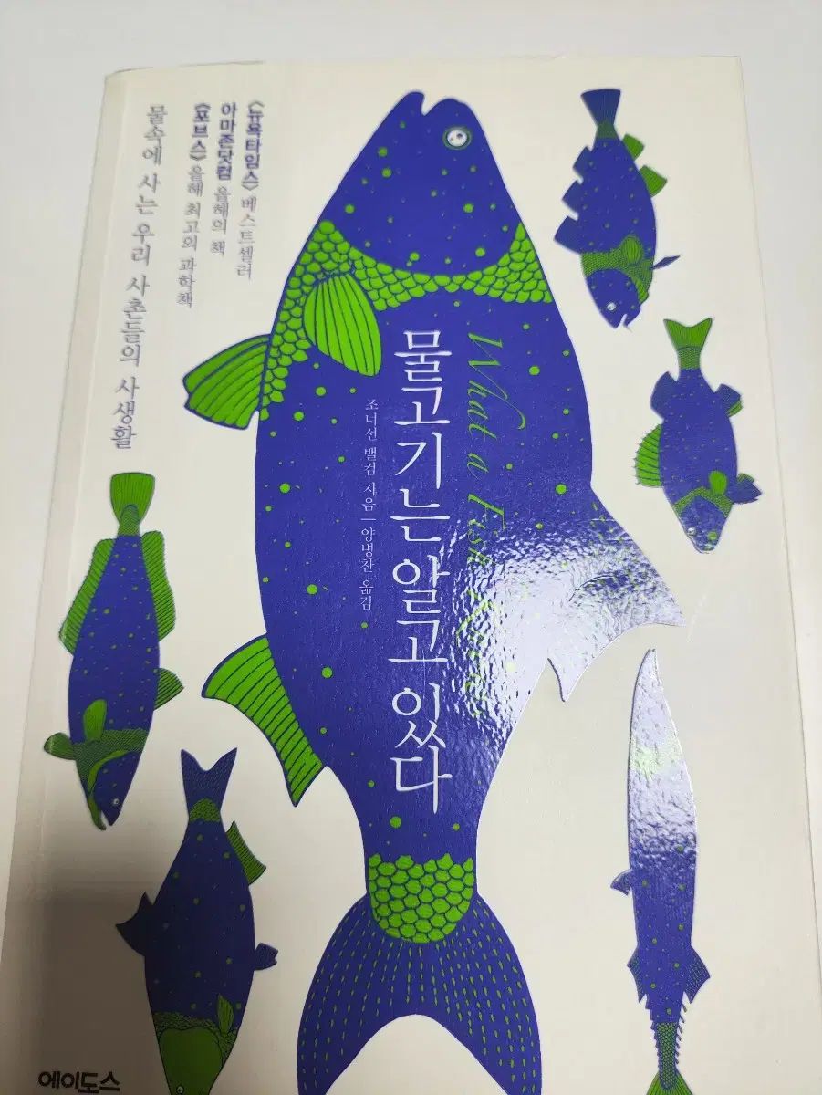 魚