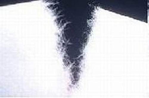 公式通販店舗! 新着商品 クリネックス ティシュ 1|2カット2枚重ね 100組 200枚 x12個セット 100㎞圏内無料配達