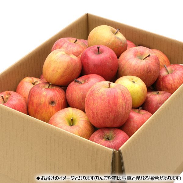 山形県産 季節のりんご 加工用 10kg (訳あり/26玉〜46玉入り)-1