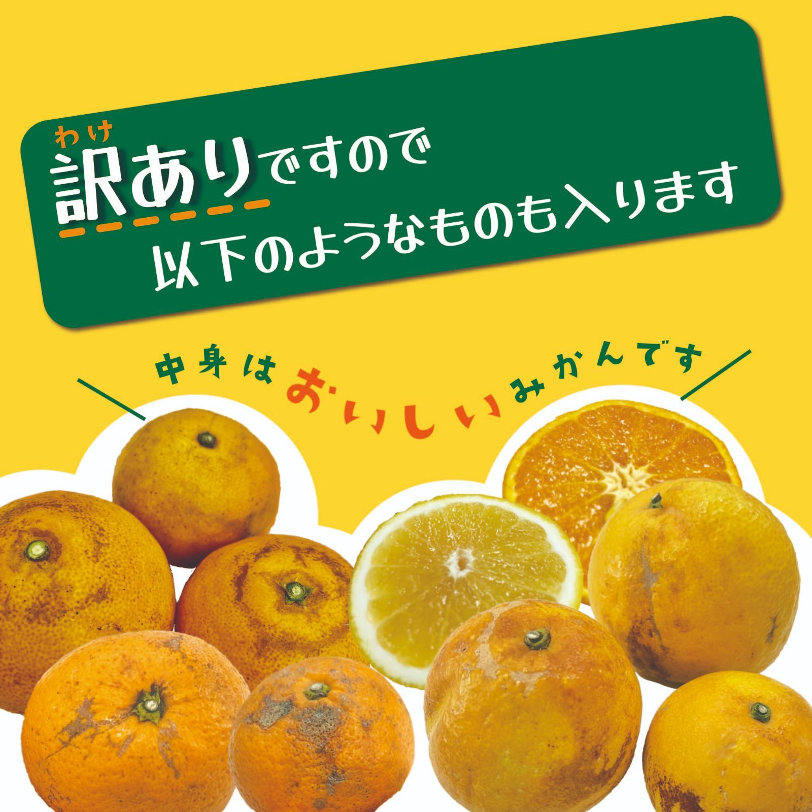 【超お買い得!】旬の柑橘 詰め合わせ 10kg補償有-2