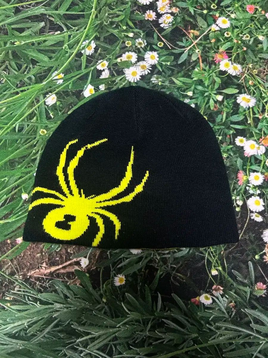 【雷市場（ポンジャン）商品韓国直送】 spyder(スパイダー) 正規品 スポーツ ビーニー