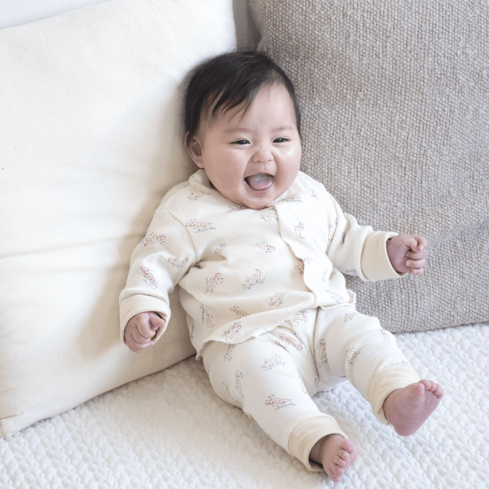 Set up - bag alligator