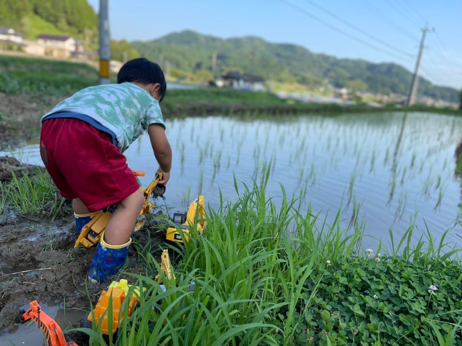 令和6年産 夢しずく