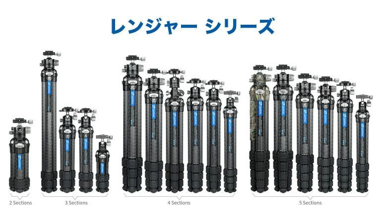 黄金のメラレウカ レボリューションゴールド 655 樹高2.1m位 ティーツリー 黄金のメラレウカ レボリューションゴールド 655 樹高2.1m位 ティー