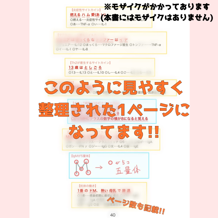 薬学ゴロ集【完全版】【紙ver】薬剤師国家試験