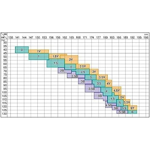 ホワイト 2.5B号