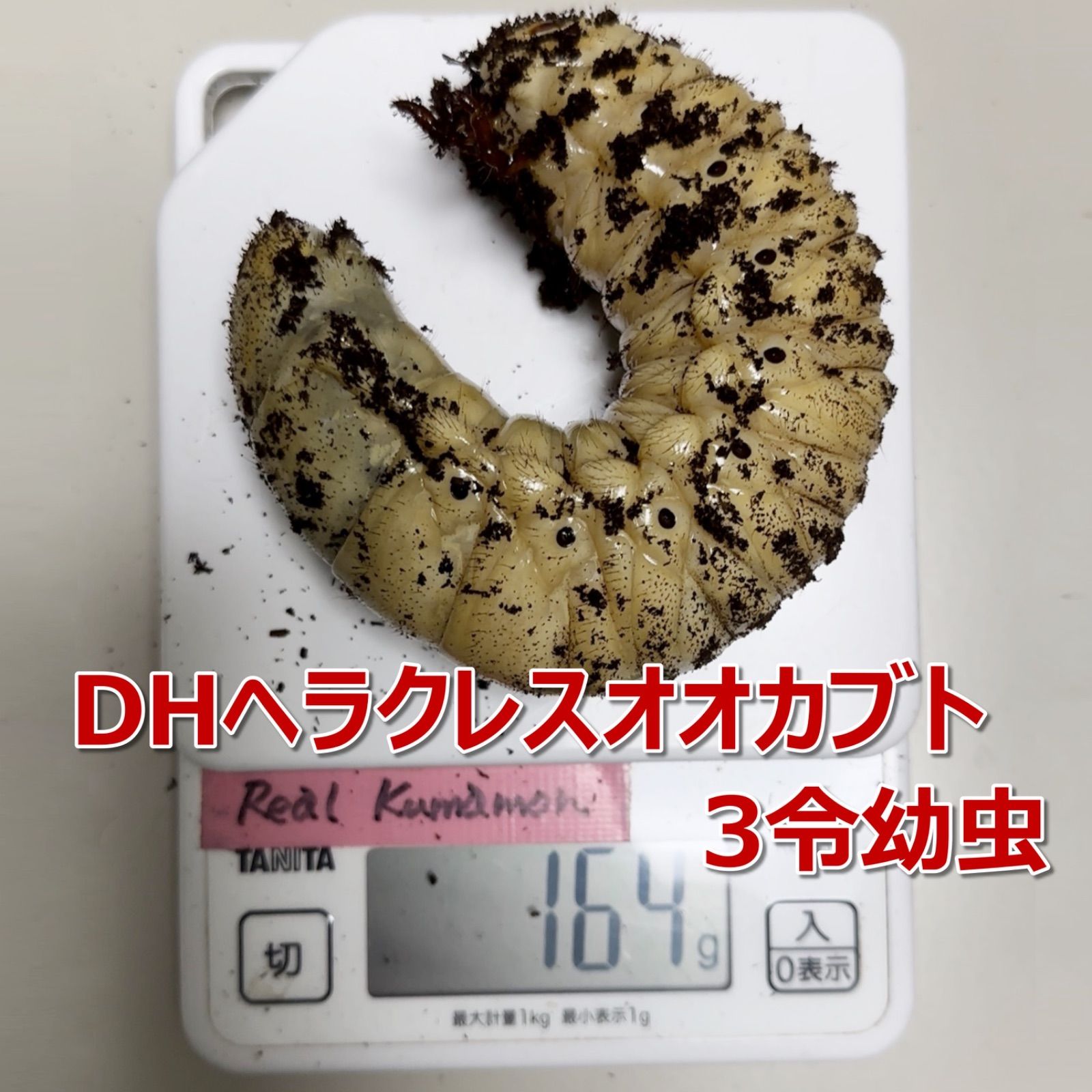 カブトマット　2L　完熟発酵　菌床マット　プレミアム　国産・外国産カブトムシに最適！！　産卵・幼虫飼育におすすめ！