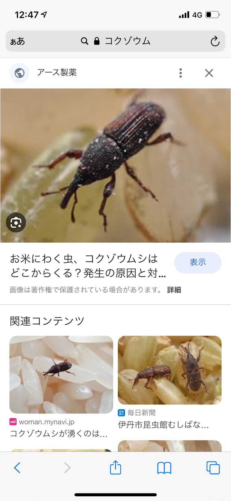 お米 こめ