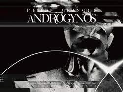 ANDROGYNOSDIRENGREYPIERROTアンドロジナス　パスセット Amazon | ESP イーエスピー PS-ANDROGYNOS-2024 DIR EN GREY x
