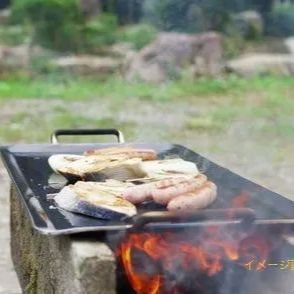 アウトドア鉄板 キャンプ鉄板 オートキャンプ などに - メルカリ