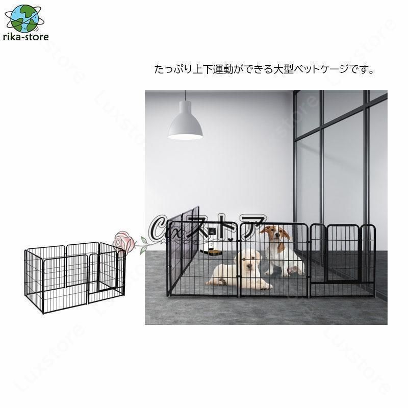仔猫 ラダー付き