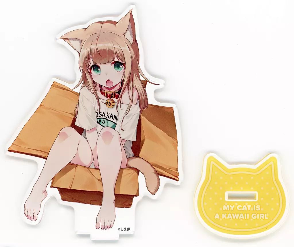 中古】アクリルスタンド・アクリルパネル ダンボールきなこ