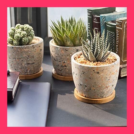 ピーターラビット プランター 3点 受け皿3点 計6点セット 鉢 寄せ植え