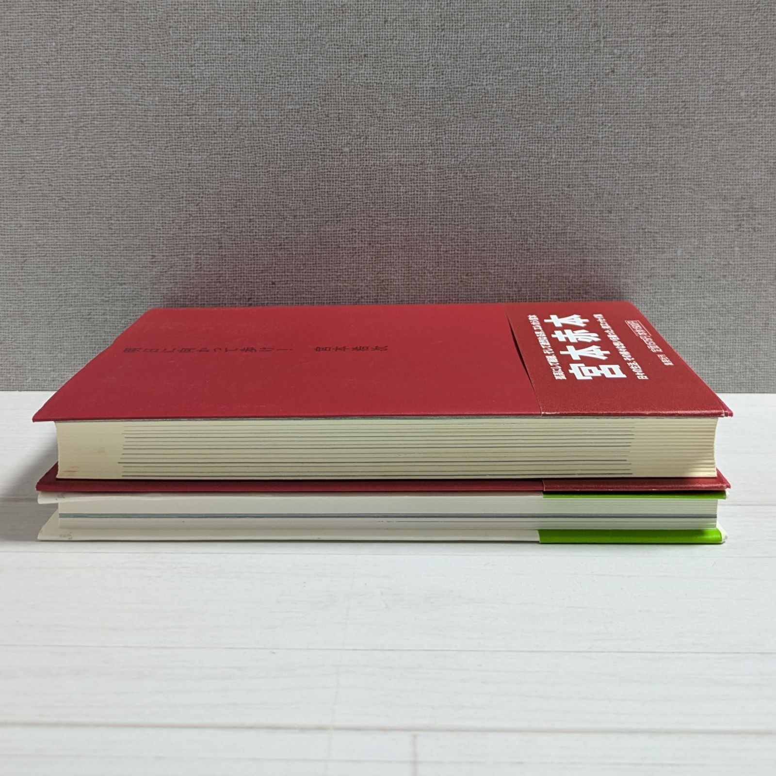 明日に向かって歩け! & 東京の空（2冊セット）/ 宮本浩次