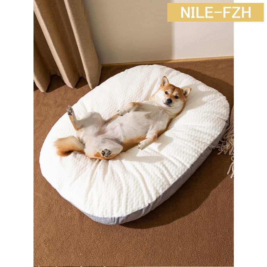 大型犬