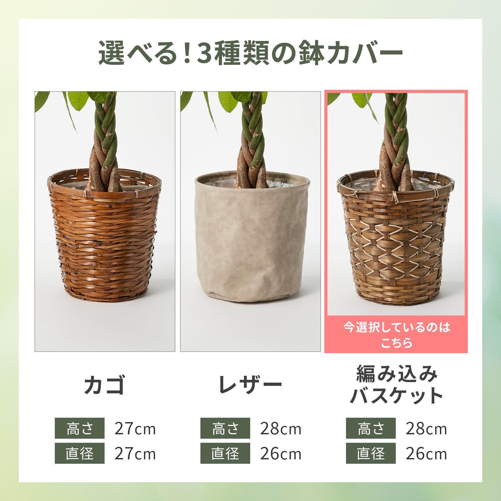 移転祝い 引越し祝い