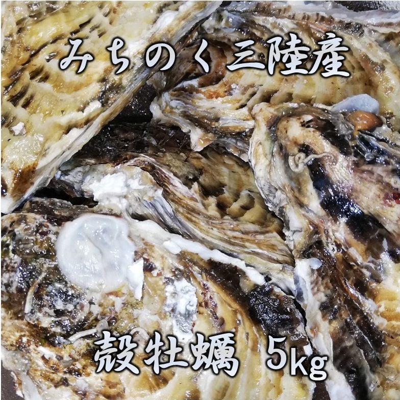 生食OK 三陸産 殻付き 生牡蠣 5kg 今季初出し 希少 数量限定 新鮮 宮城 石巻 鉄分 ミネラル豊富 希少 カキ バーベキュー 貝 魚介類 かき 贈答 パーティ 刺身 焼く 蒸す 揚げ 漬け カキフライ 鍋 栄養 誕生日 プレゼント 海の幸 贈り物 逸品