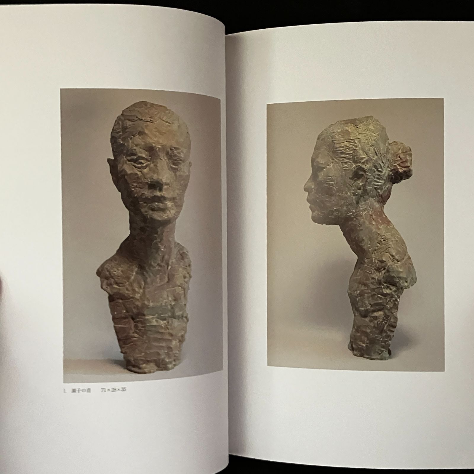 桂冠の詩人ピカソ 1945年以降の絵画作品【PICASO LAUREATUS】 PICASSO