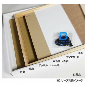 デッサン額 木製フレーム 桜平型 木地 B2 729×516 アクリル