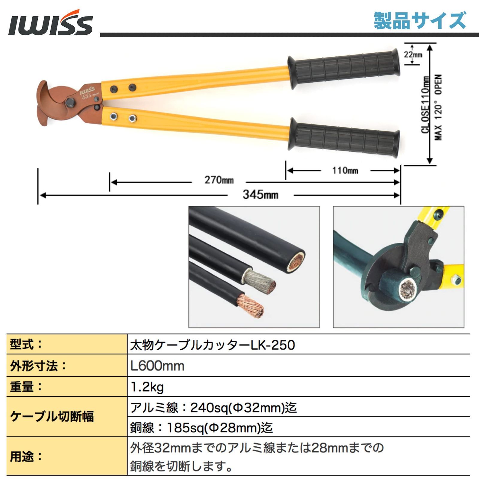 IWISS