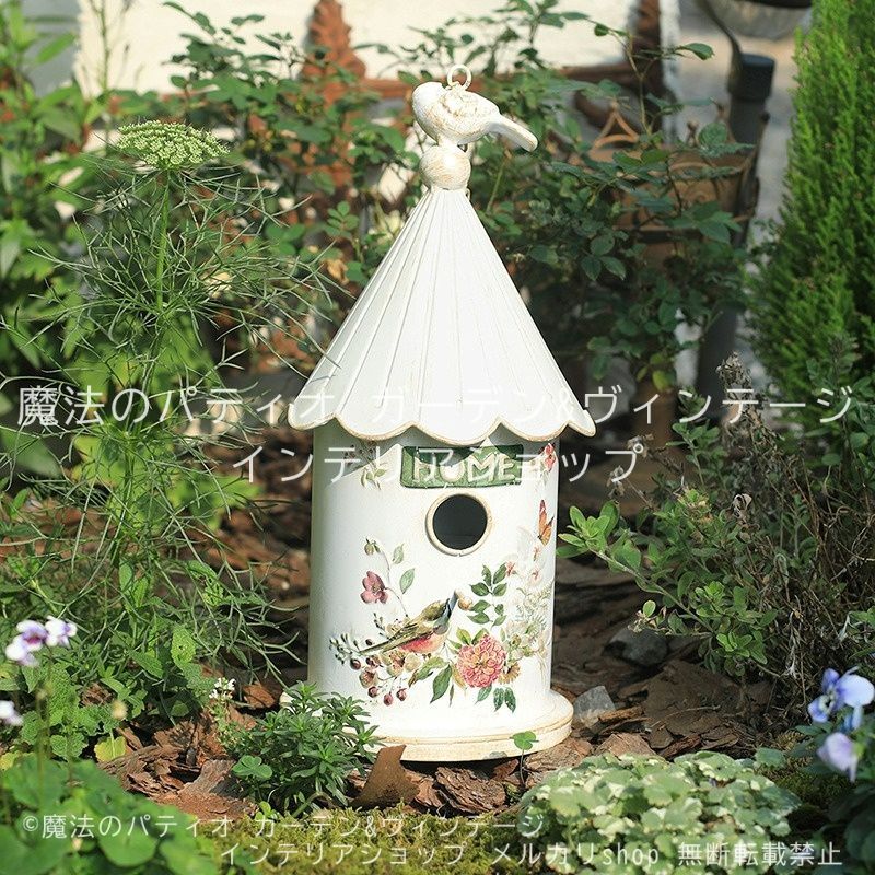 親株 フローレンシアエ 親株現物販売 童仙房ナーセリー＆ガーデンのテーブルランジア,庭のあじさい苗【HBA