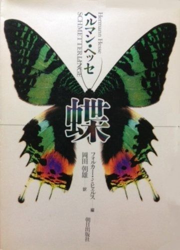 蝶 1984年