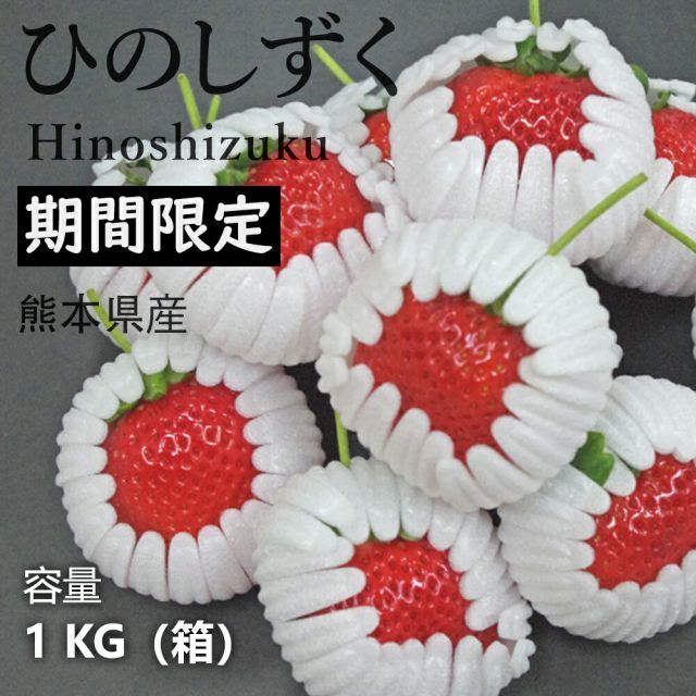 予約受付中 1月末頃より発送予定｜熊本県産 ひのしずく ごだわり いちご 贈呈品ランク 約1kg 1箱 百貨店に陳列 厳選フルーツ 熊本産ブランド いちご ひのしずく 長年の選育成を重ねてできた 熊本が誇る プレゼント 果物ギフト