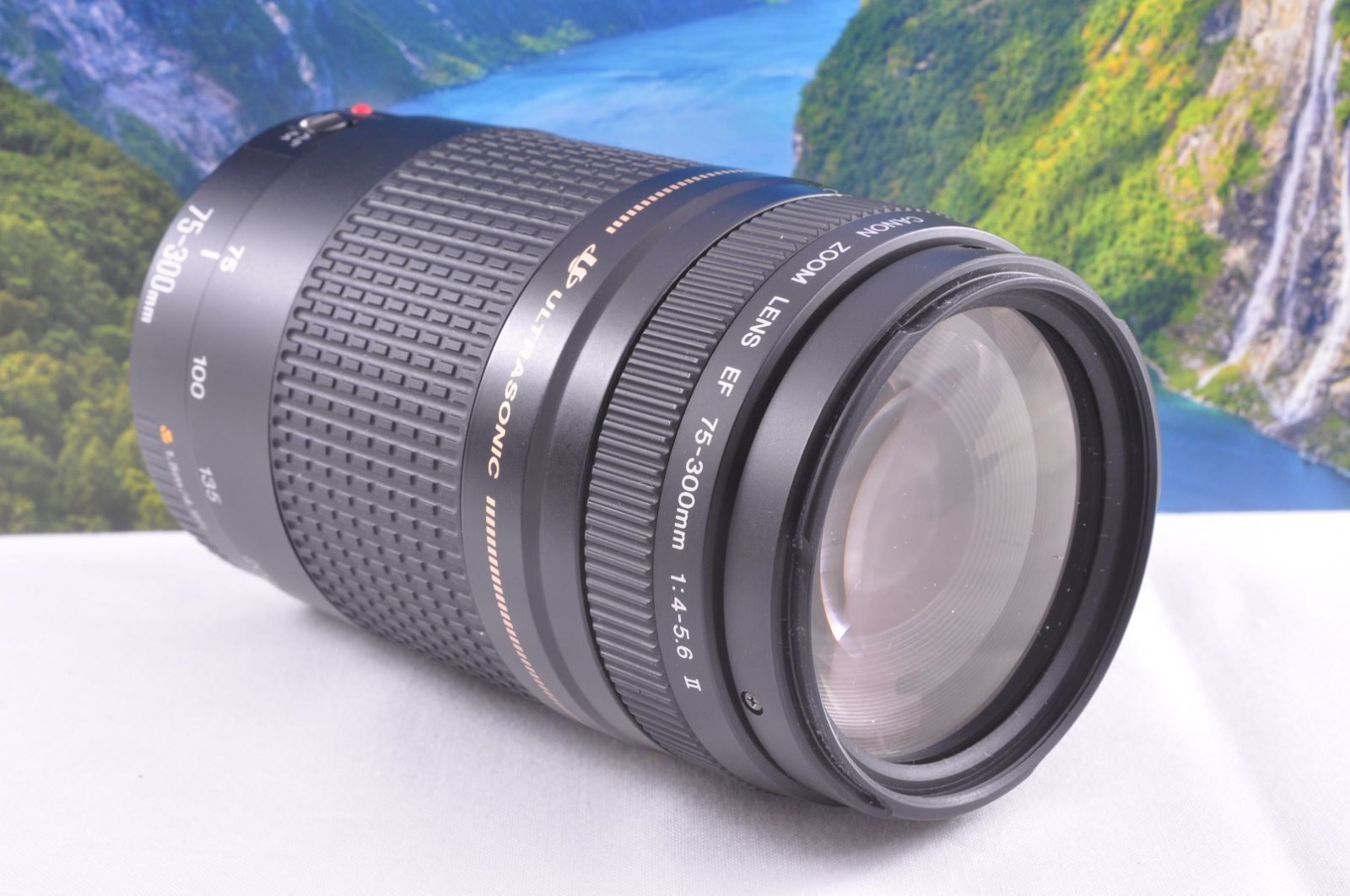 Canon EF 75-300mm F4-5.6 望遠ズームレンズ フード付 キャップ付 女性