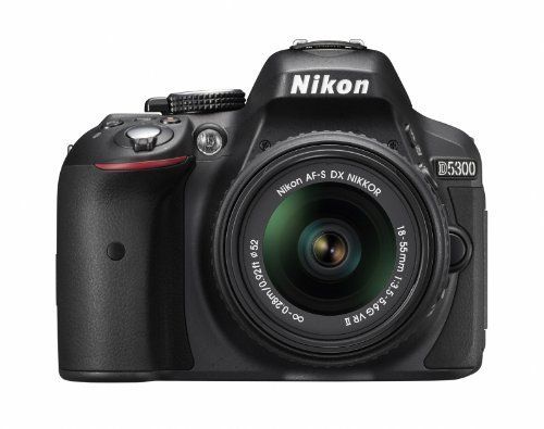 Nikon デジタル一眼レフカメラ D5300 18-55mm VR II レンズキット グレー 2400万画素 3.2型液晶 D5300L Nikon デジタル一眼レフカメラ D5300 18-55mm VR II レンズキット