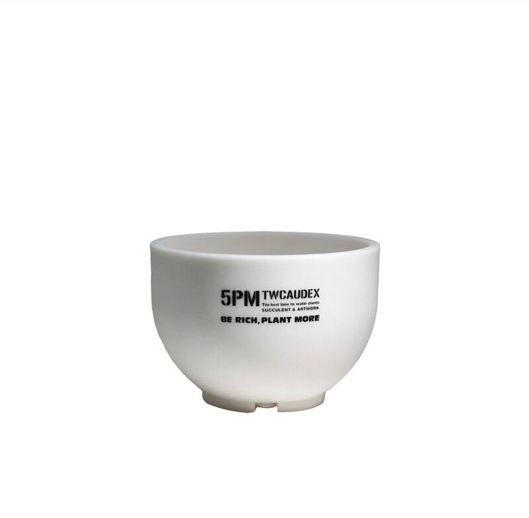 5PM.TWCAUDEX プラスチック鉢 酉 5pm.twcaudex プラスチック鉢 - メルカリ
