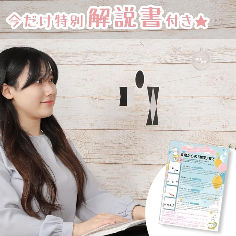 解説書付き